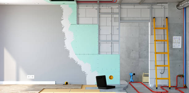 Best Black Mold Removal  in White Oak, MS