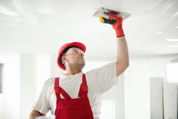 Best Mold Damage Restoration  in White Oak, MS