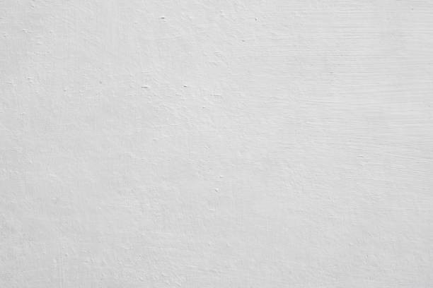 Best Mold Odor Removal Services  in White Oak, MS