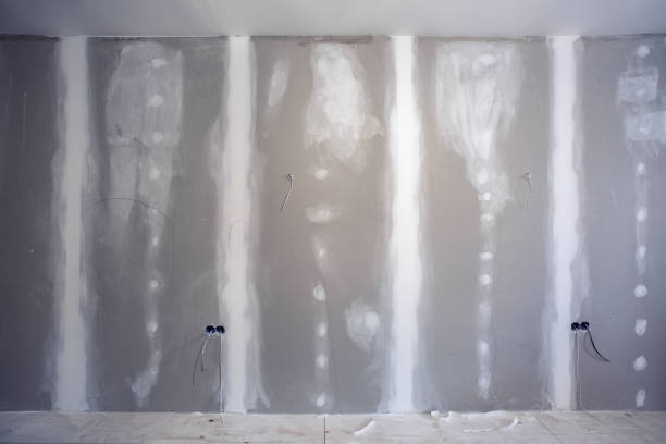 Best Mold Damage Restoration  in White Oak, MS